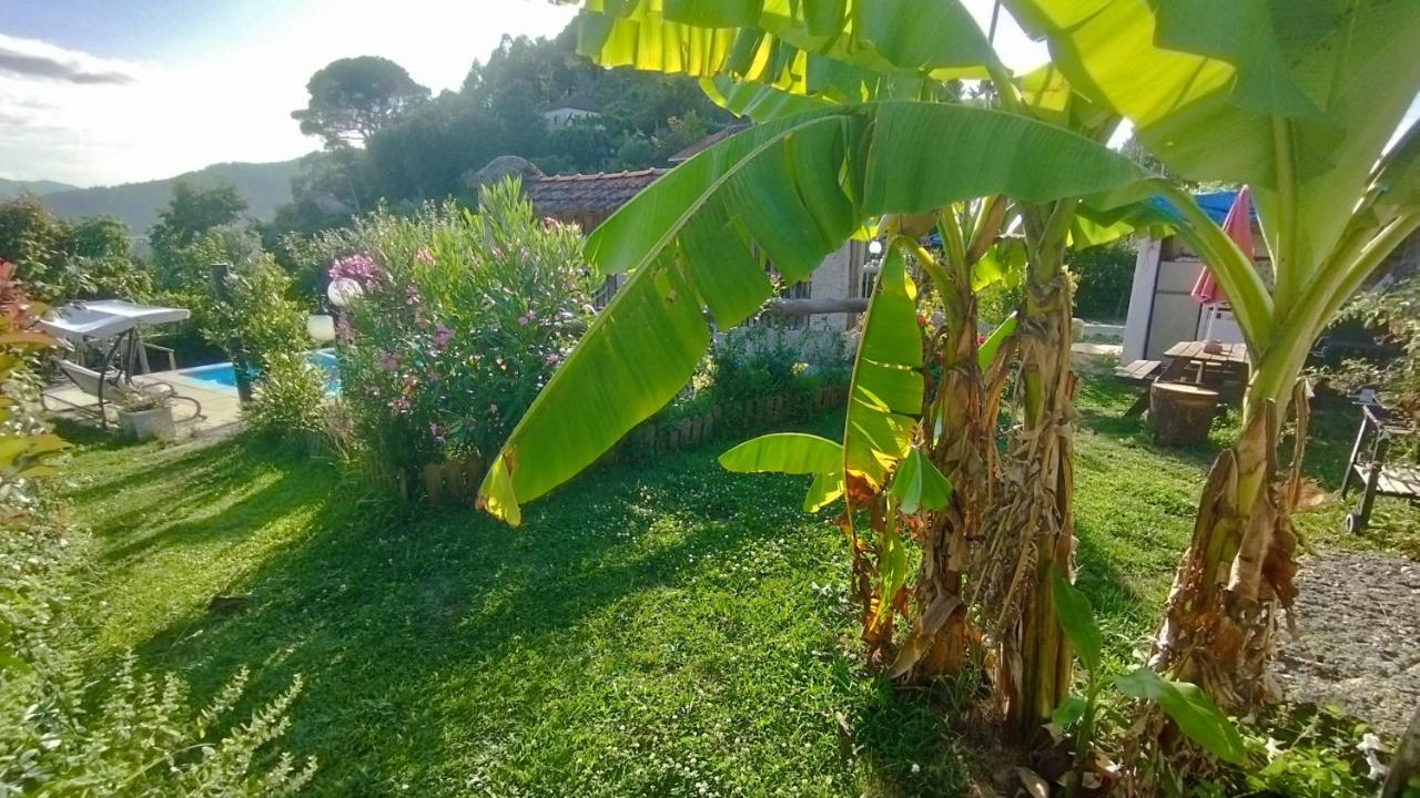 Alojamento De Crasto - 제어스 외부 사진
